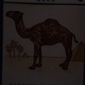 Meet your Posher, Emory